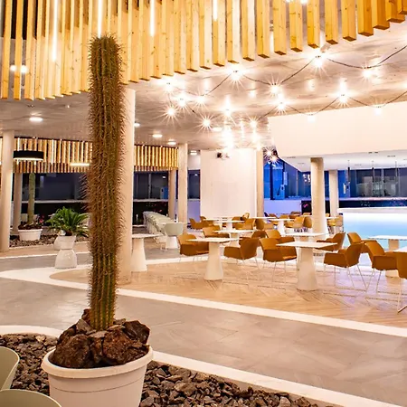 Taimar 코스타카르마